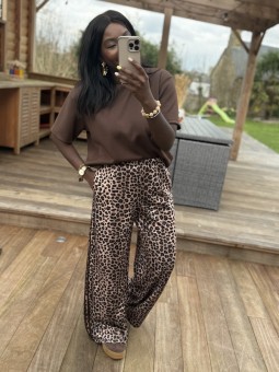 Tee-shirt Dimitri chocolat